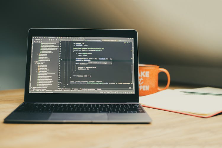 web development